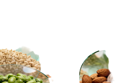 Najlepsze źródła białka roślinnego